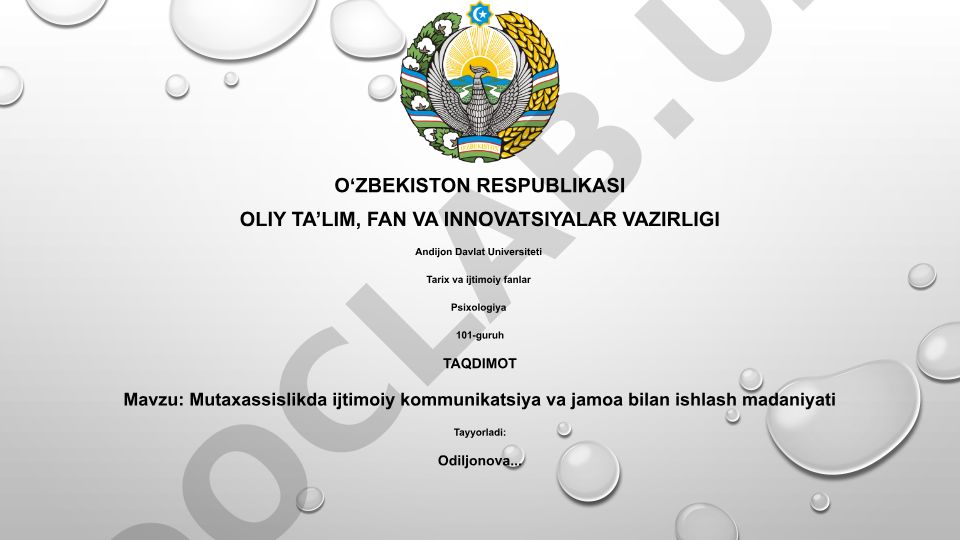 Mutaxassislikda ijtimoiy kommunikatsiya va jamoa bilan ishlash madaniyati