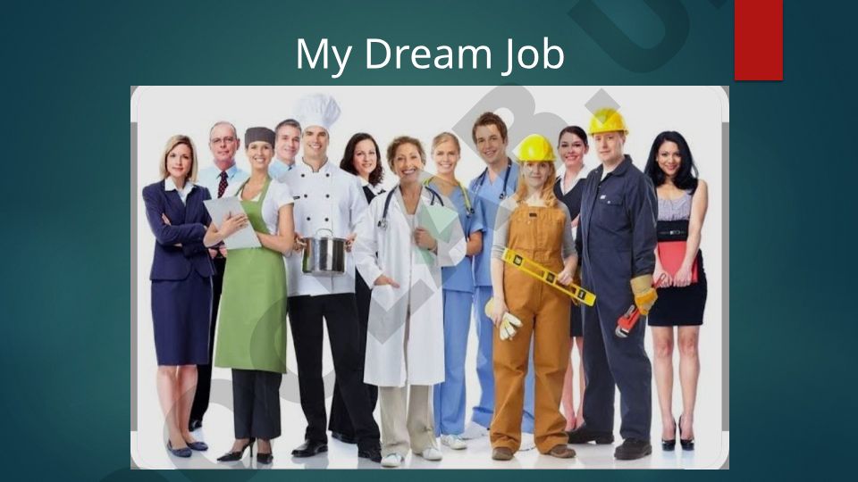 Software Engineering Career Path and Industry Overview