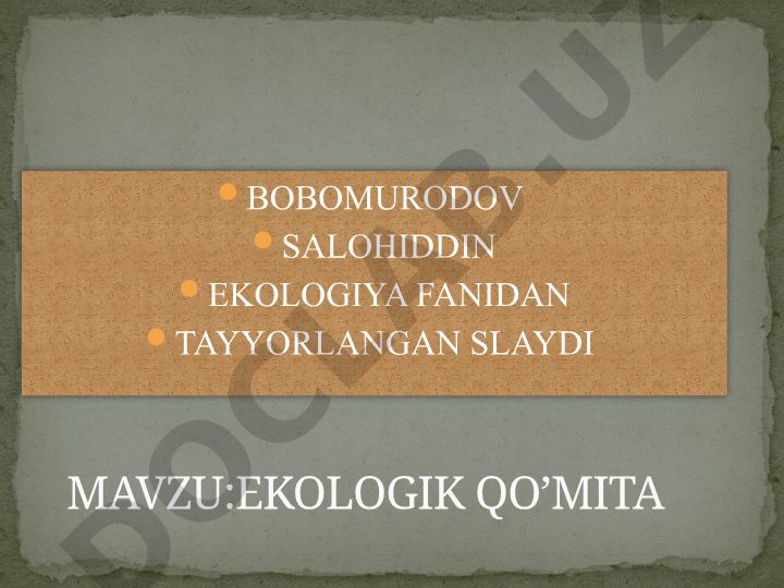 Ekologik qo'mita va global ekologik muammolar
