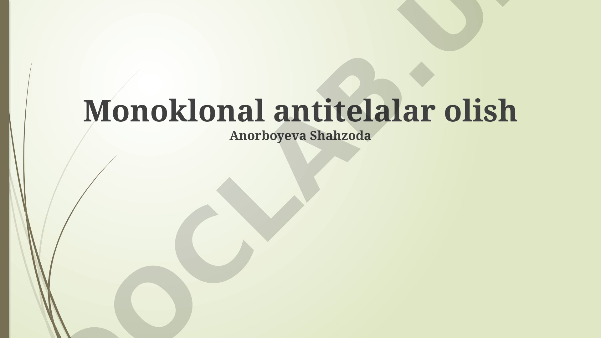 Monoklonal antitelalar olish