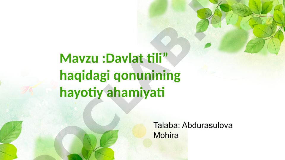 Davlat tili haqidagi qonunining hayotiy ahamiyati