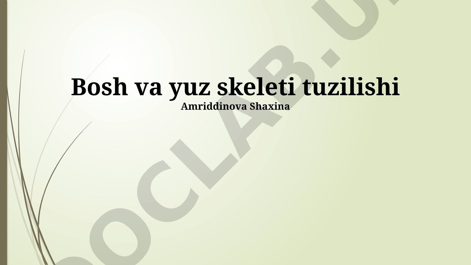 Bosh va yuz skeleti tuzilishi
