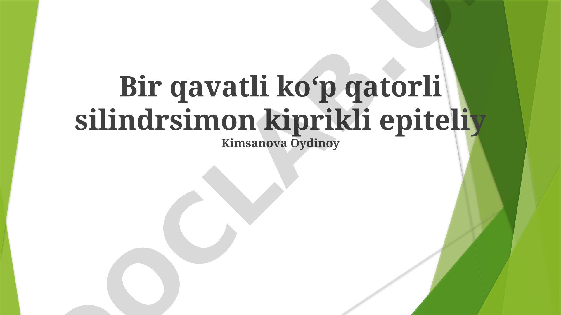 Bir qavatli ko‘p qatorli silindrsimon kiprikli epiteliy