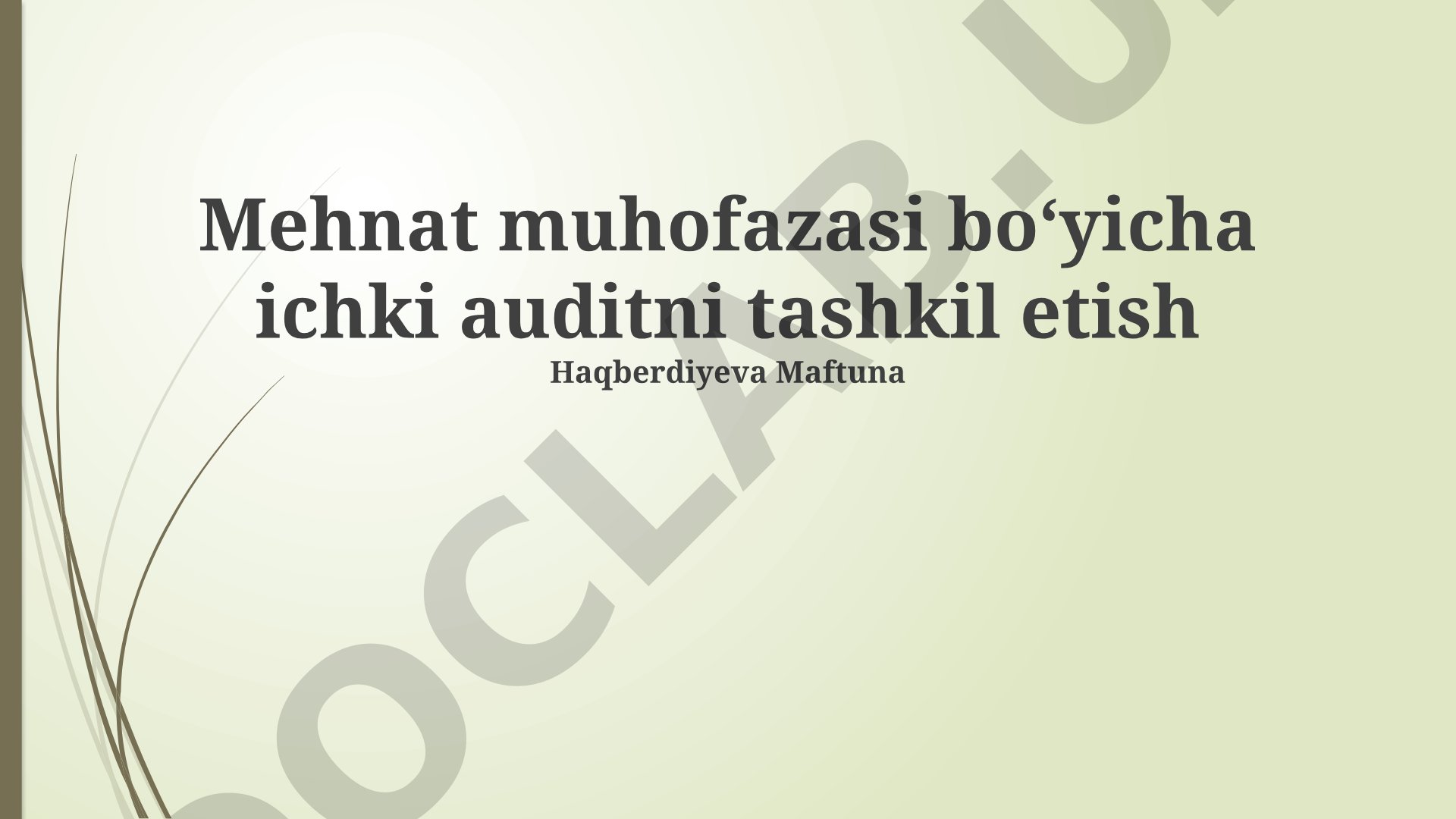 Mehnat muhofazasi boʻyicha ichki auditni tashkil etish