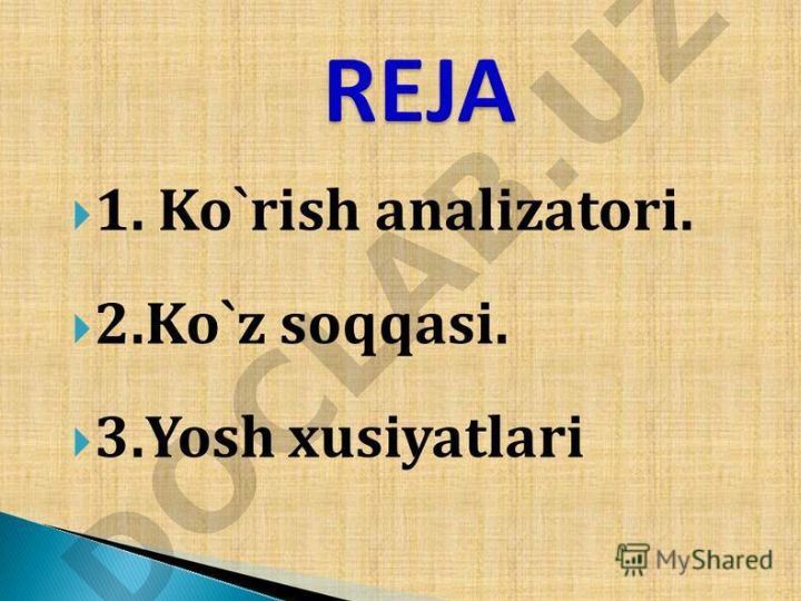 Raqamli iqtisodiyotning rivojlanishi va uning O'zbekistondagi ahamiyati