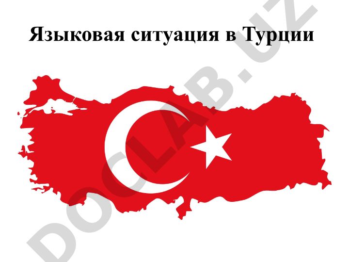 Языковая ситуация в Турции и история турецкого языка