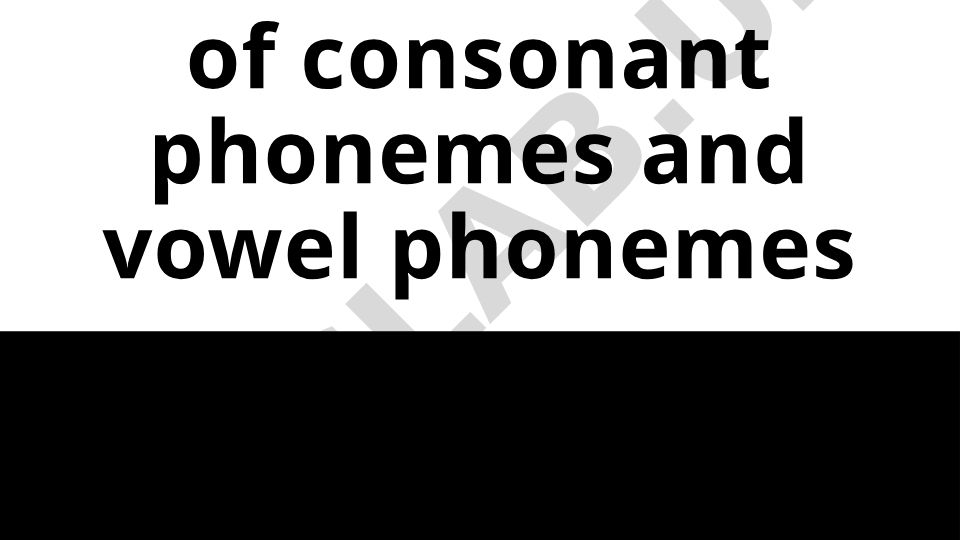 The principles of the classification of consonant phonemes and vowel phonemes