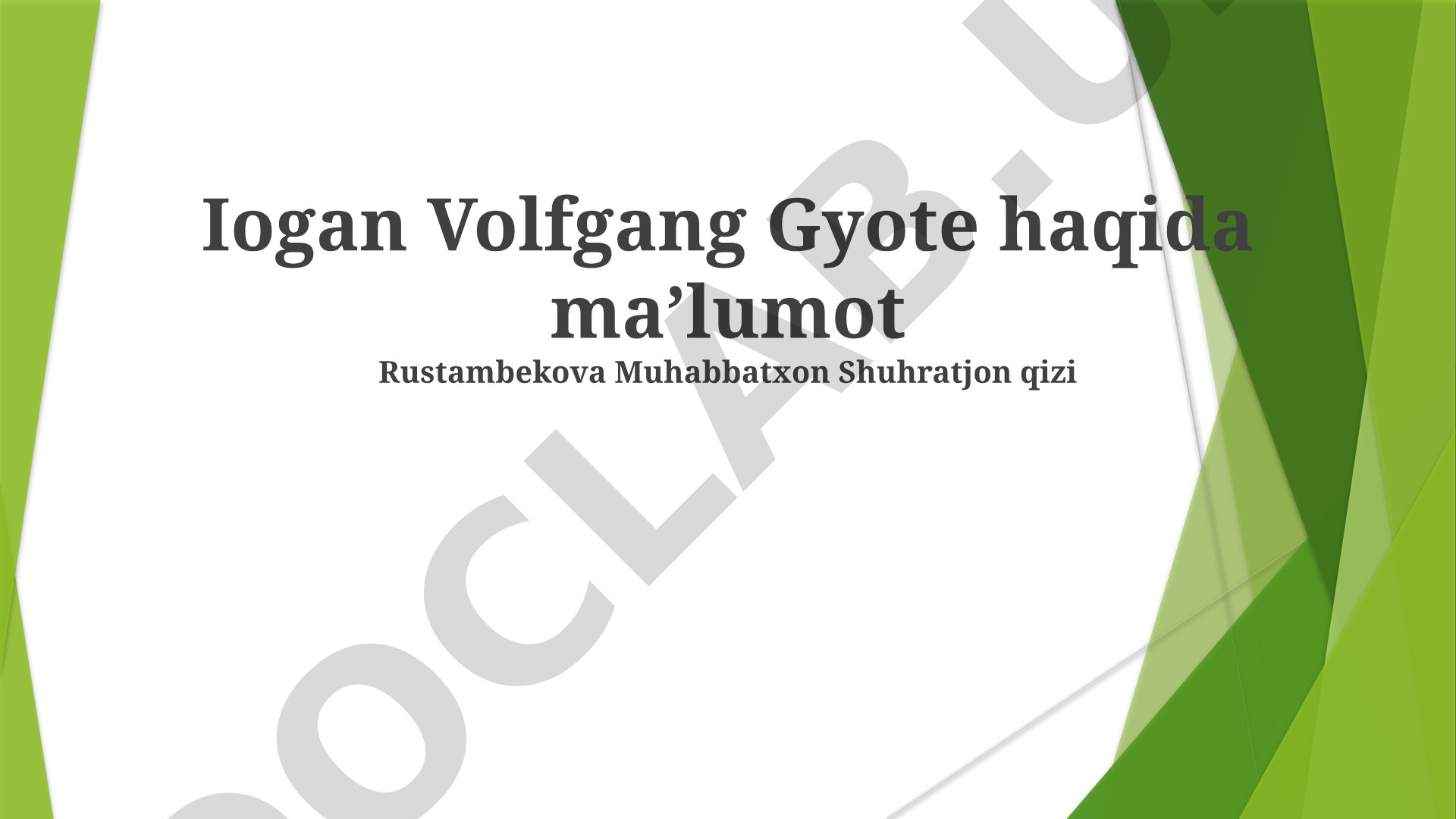 Iogan Volfgang Gyote hayoti, asarlari va merosi