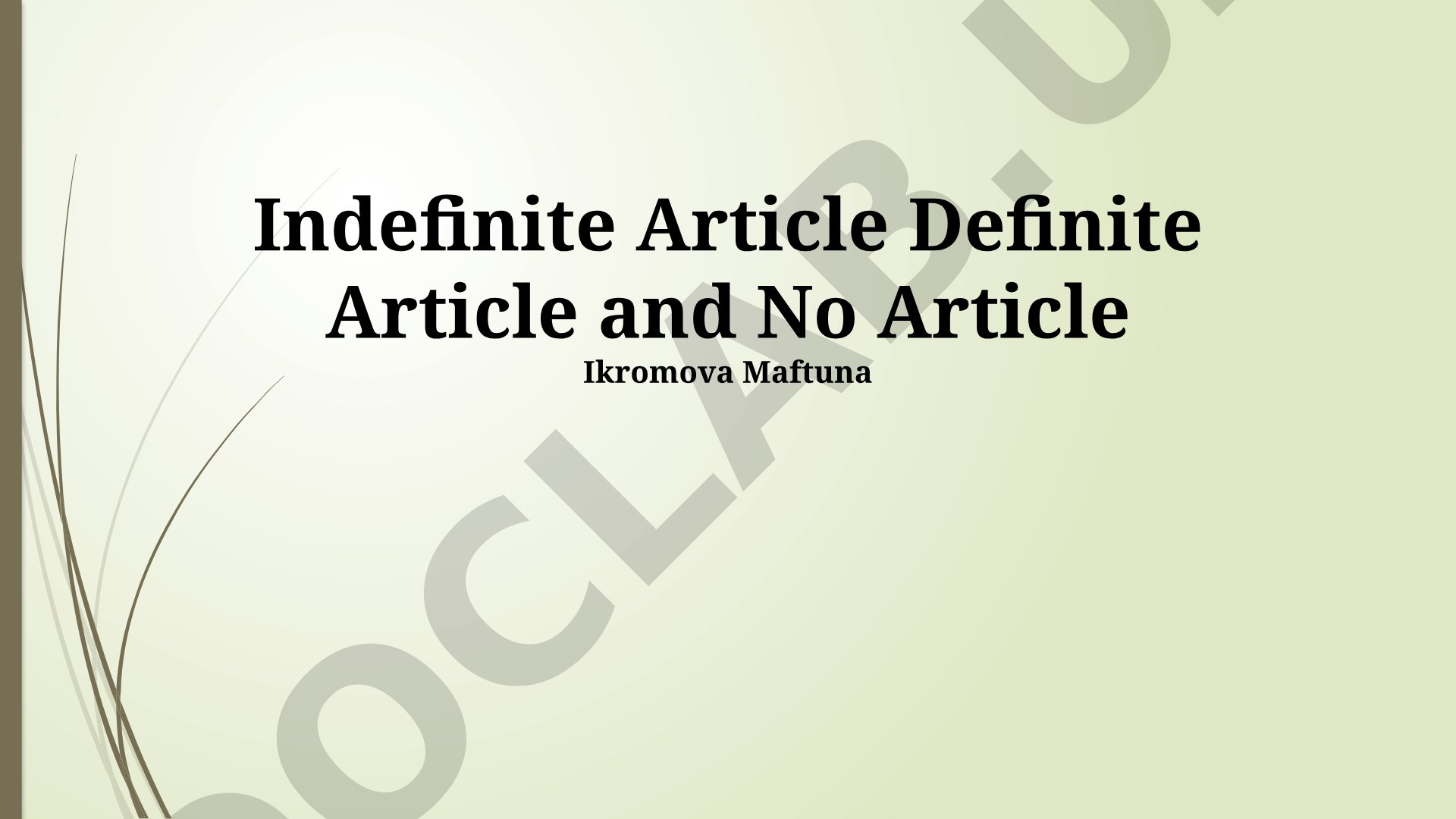 Indefinite Article Definite Article and No Article