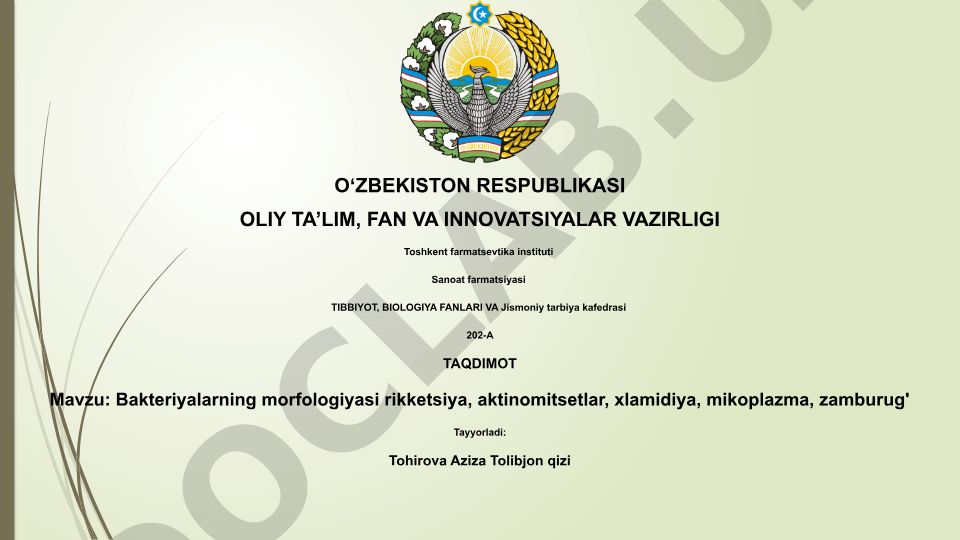 Bakteriyalarning morfologiyasi rikketsiya, aktinomitsetlar, xlamidiya, mikoplazma, zamburug'