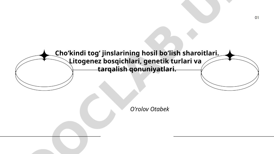 Cho‘kindi tog‘ jinslarining hosil bo‘lish sharoitlari va litogenez bosqichlari
