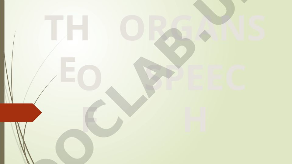 The Organs of Speech and English Pronunciation