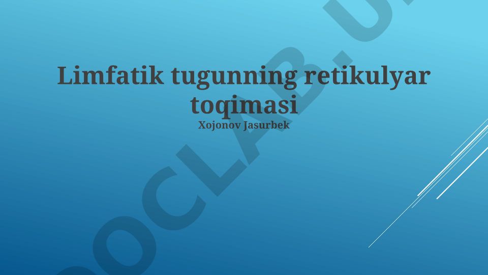 Limfatik tugunning retikulyar to'qimasi