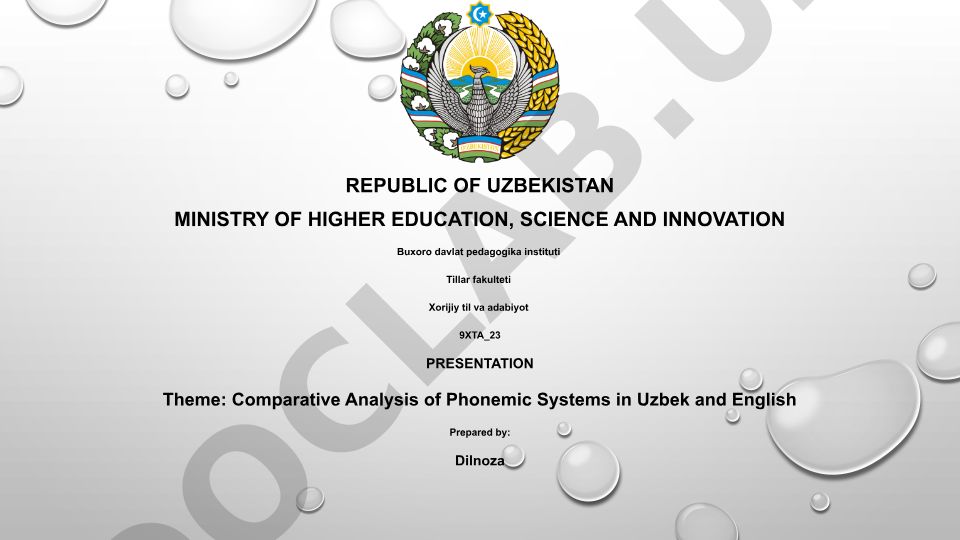 Comparative Analysis of Phonemic Systems in Uzbek and English