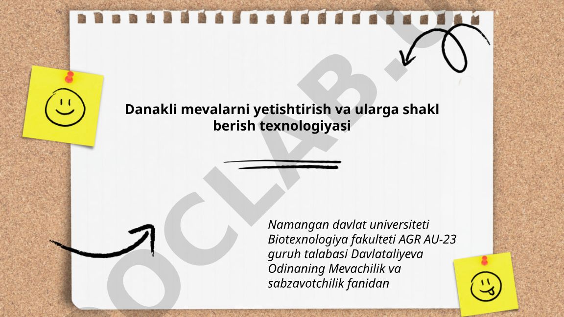 Danakli mevalarni yetishtirish va ularga shakl berish texnologiyasi