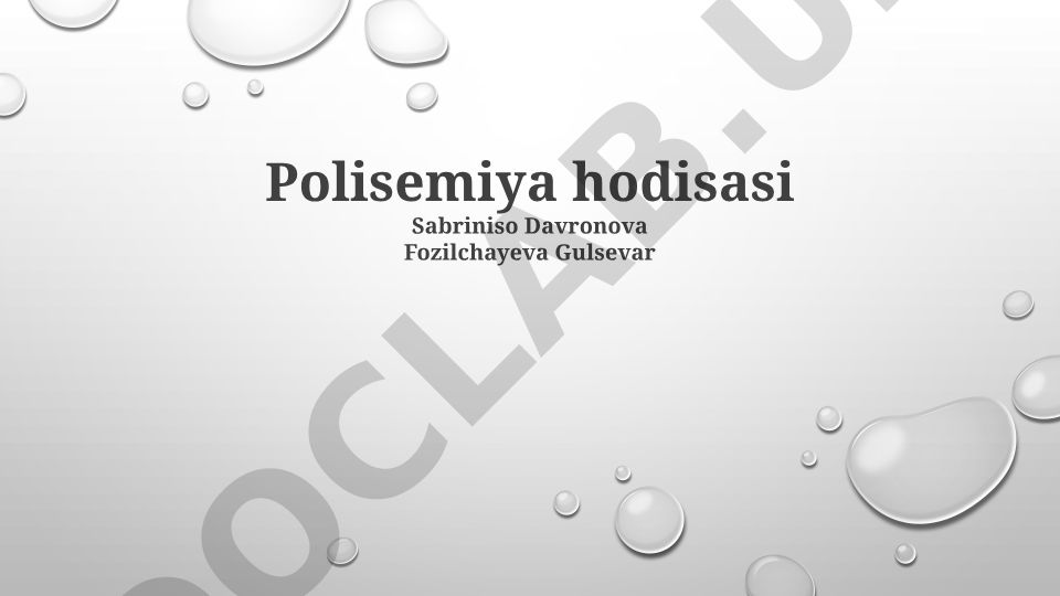 Polisemiya hodisasi: ta'rifi, turlari va tarjimadagi muammolari