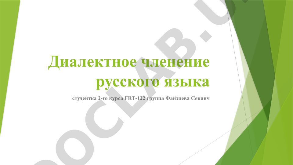 Диалектное членение русского языка