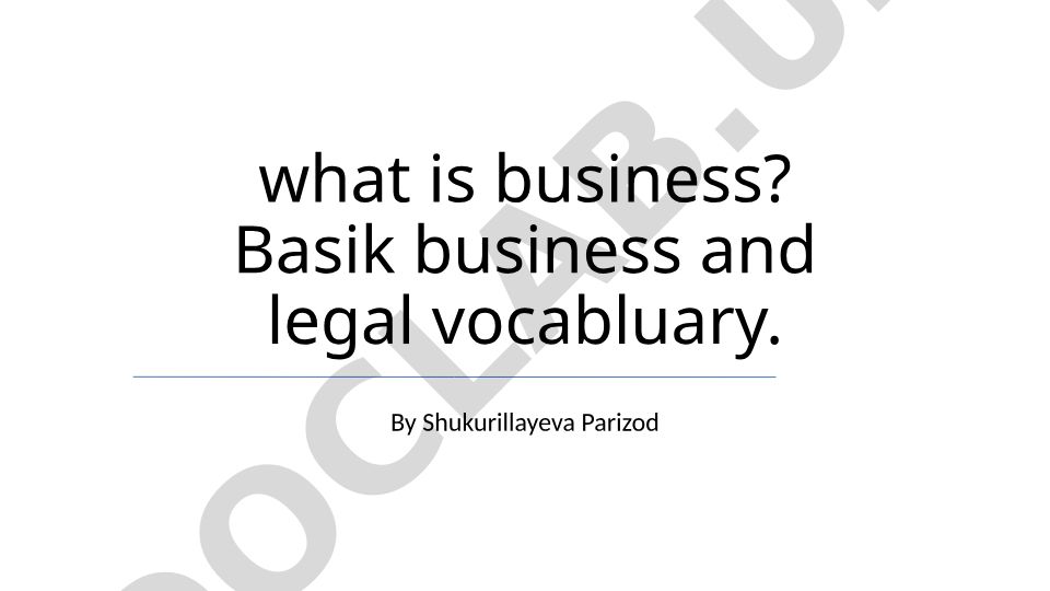 What is Business? Basic Business and Legal Vocabulary