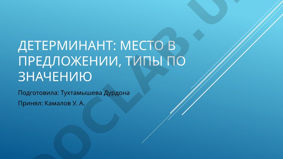 Детерминант: место в предложении, типы по значению