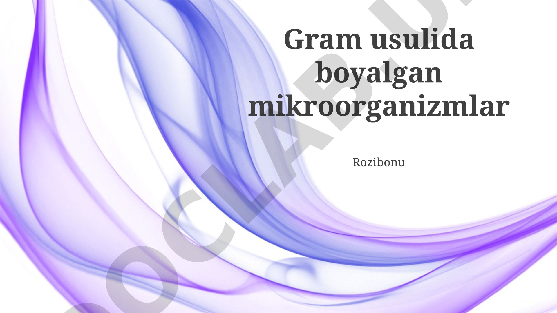Gram usulida bo'yalgan mikroorganizmlar