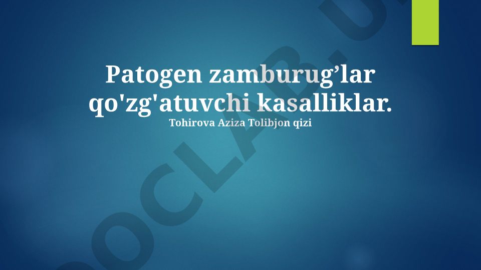 Patogen zamburug'lar qo'zg'atuvchi kasalliklar