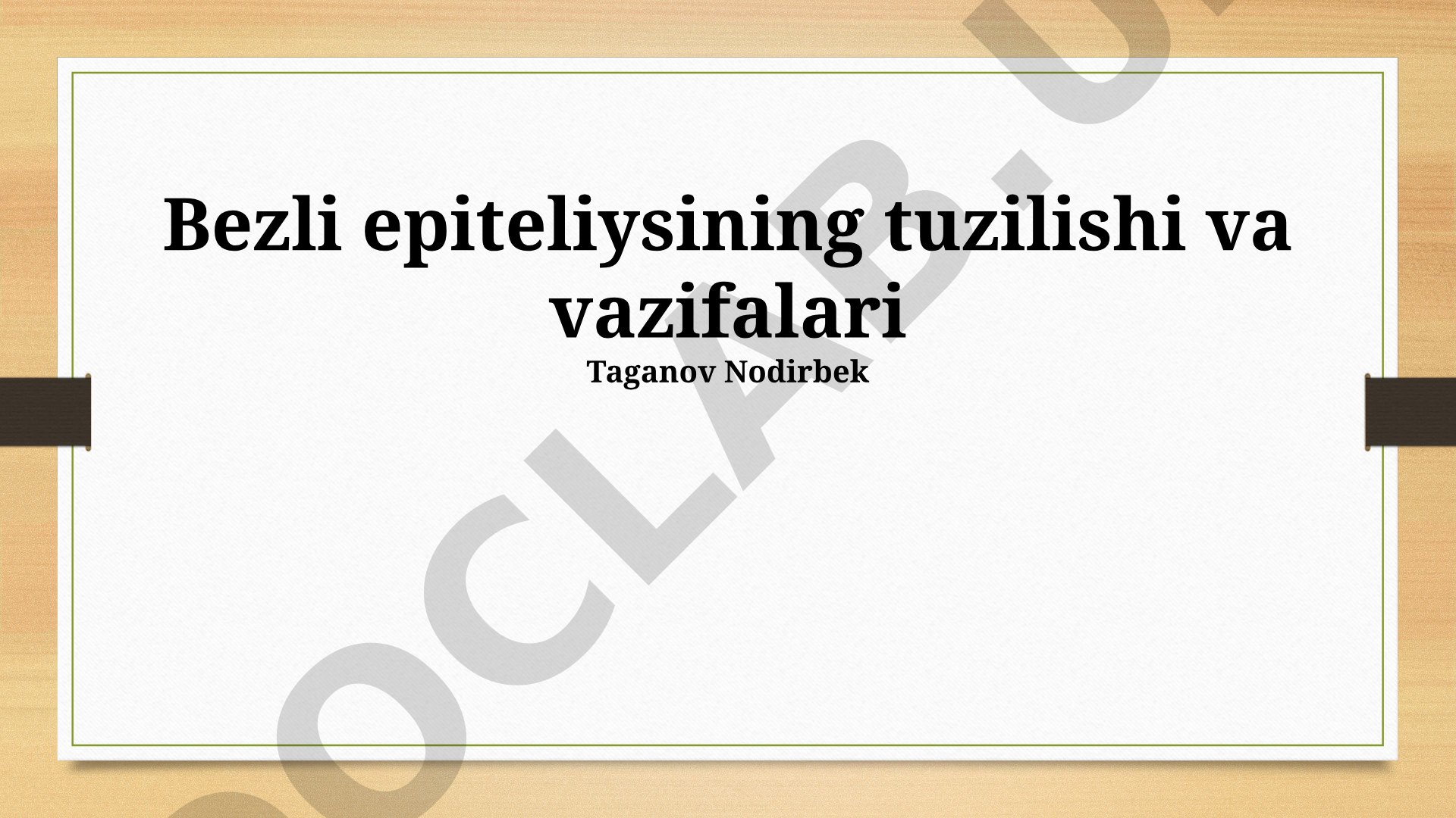 Bezli epiteliysining tuzilishi va vazifalari