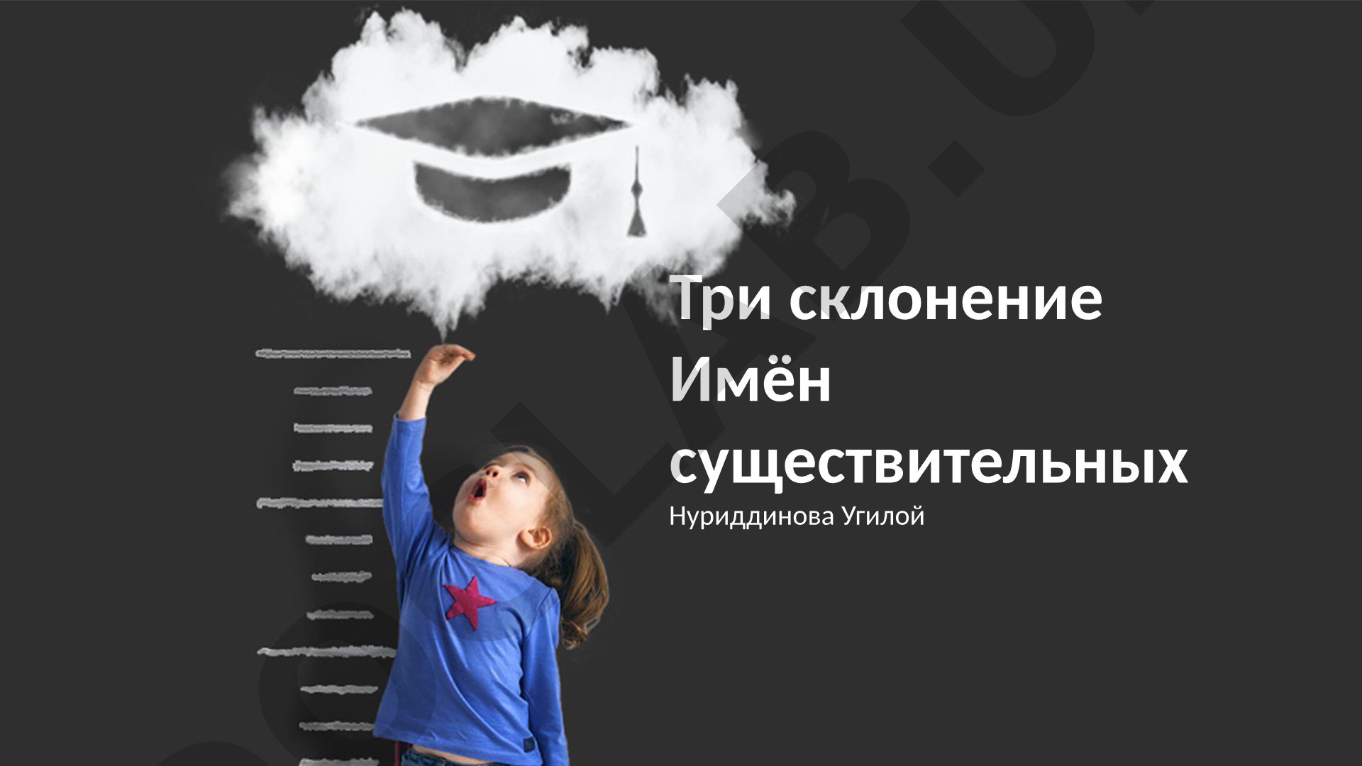 Три склонения имён существительных