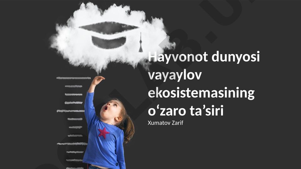 Hayvonot dunyosi va Vavilov ekosistemasining o'zaro ta'siri