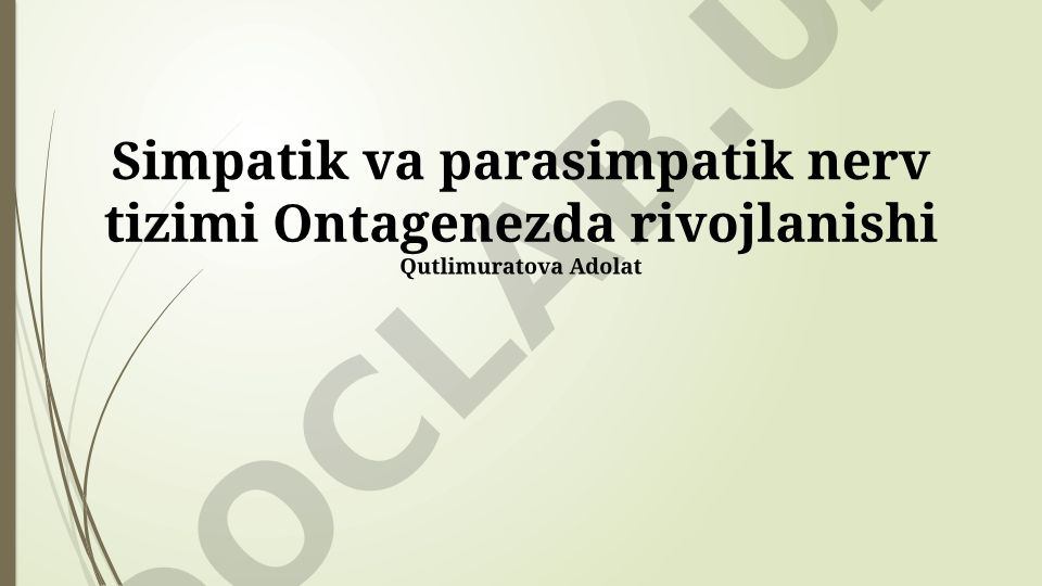 Simpatik va parasimpatik nerv tizimlarining ontogenezdagi rivojlanishi