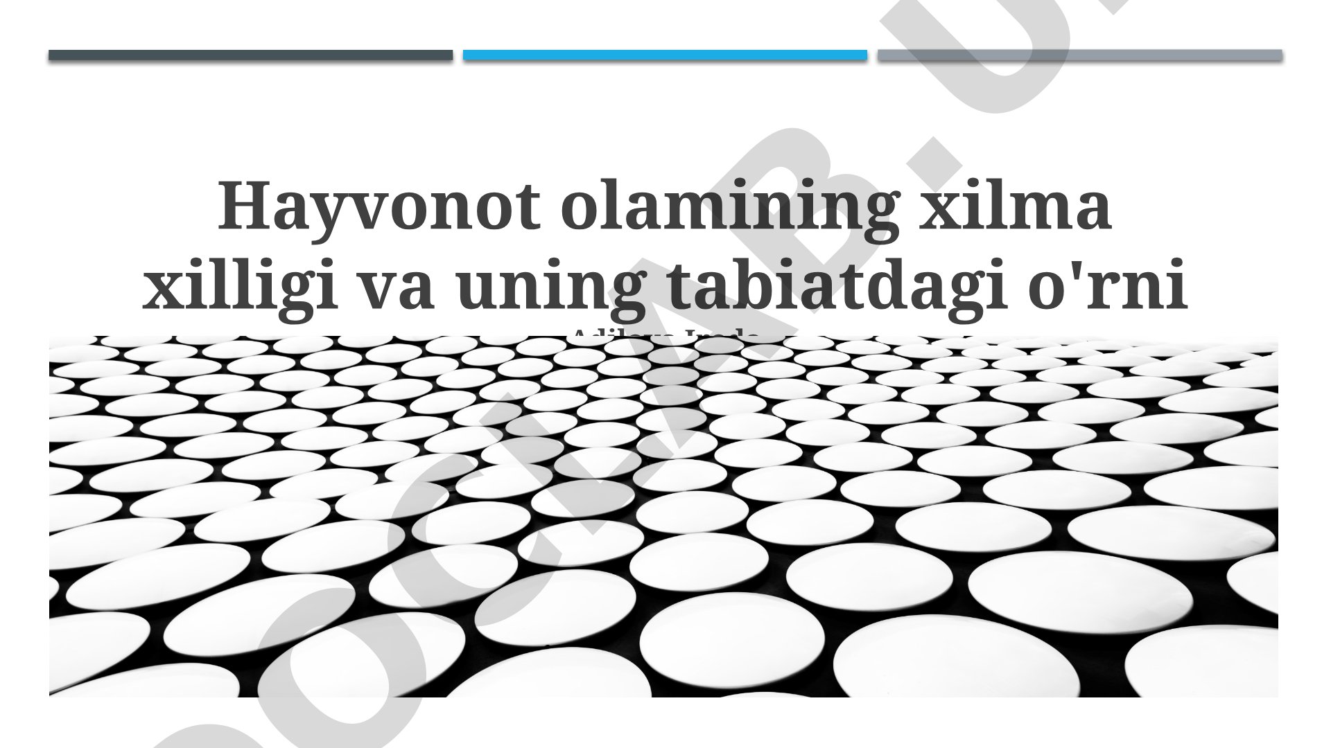 Hayvonot olamining xilma xilligi va uning tabiatdagi o'rni