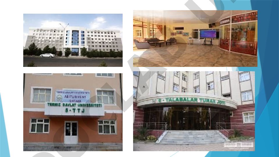 Termiz davlat universiteti talabasi yotoqxonasi haqida