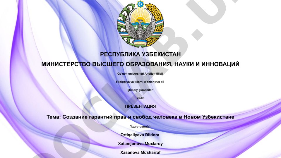 Создание гарантий прав и свобод человека в Новом Узбекистане