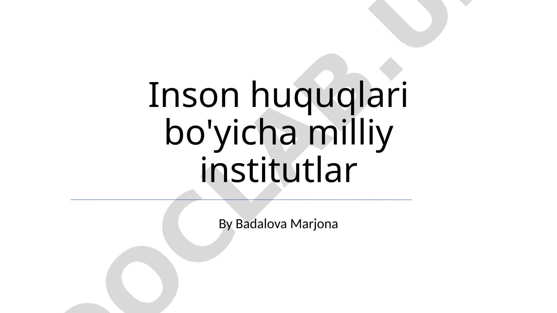 Inson huquqlari bo'yicha milliy institutlar