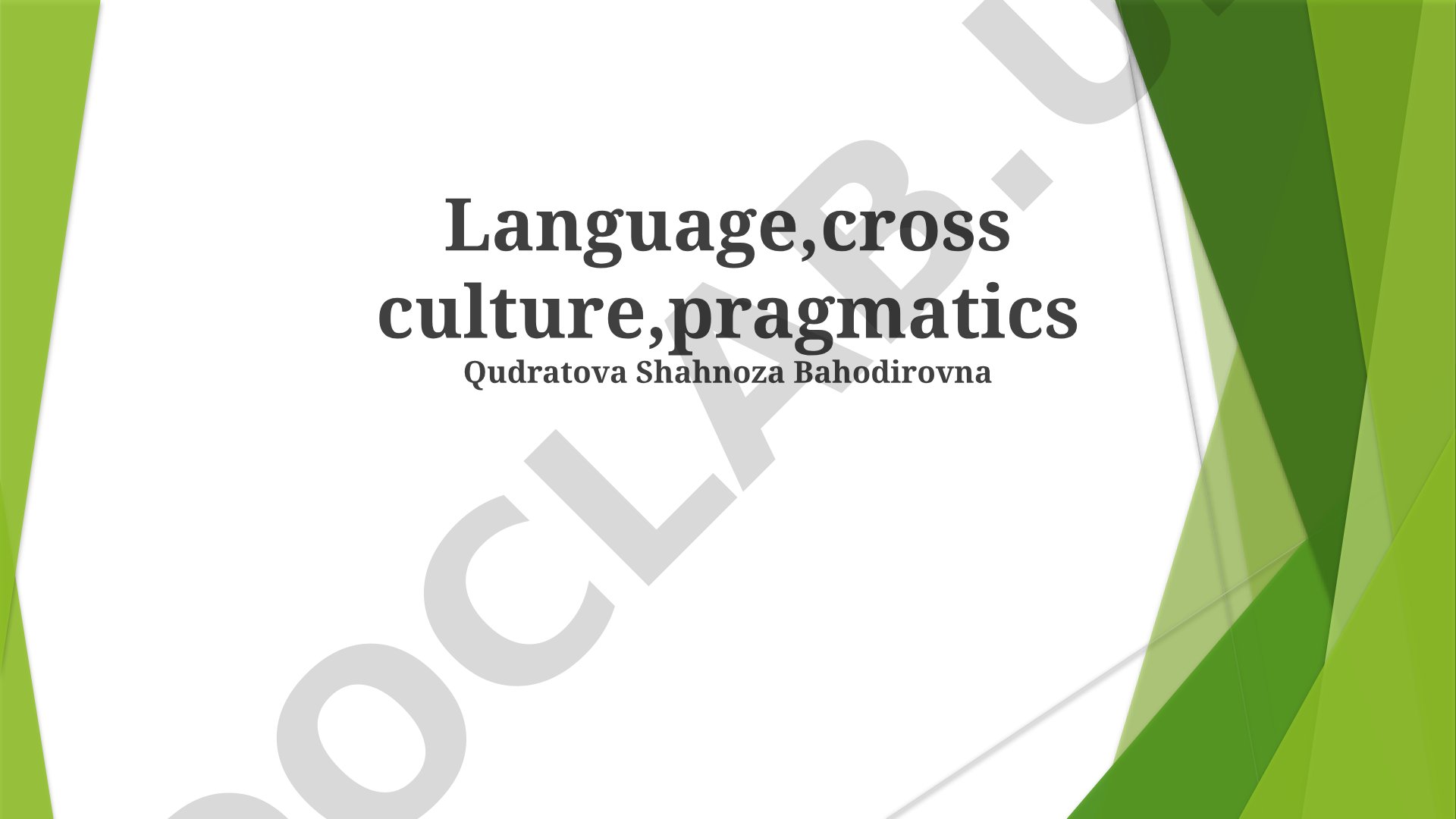 Cross-Cultural Communication and Pragmatics