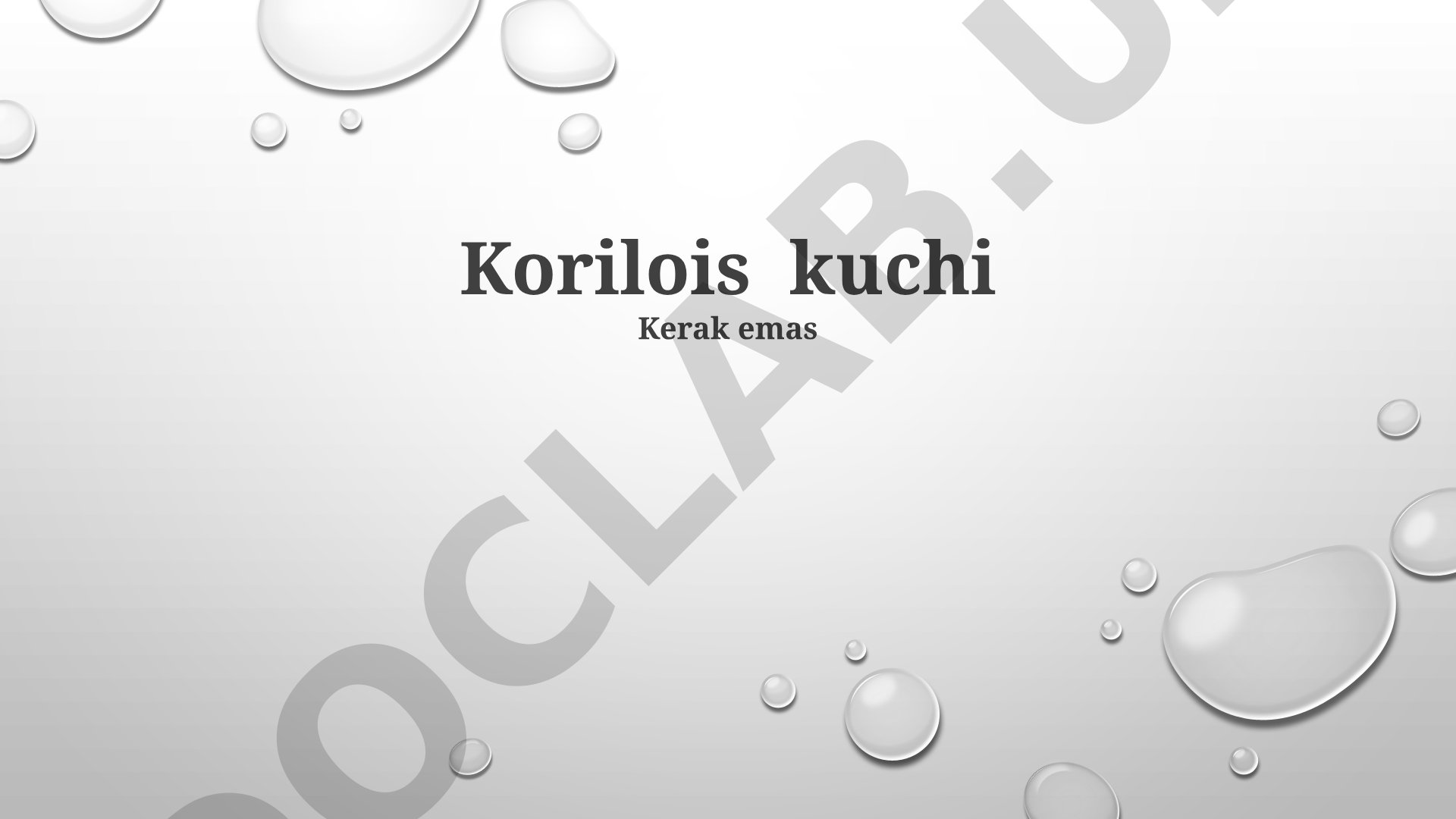 Korolis it zotining kelib chiqishi, tarixi va xususiyatlari