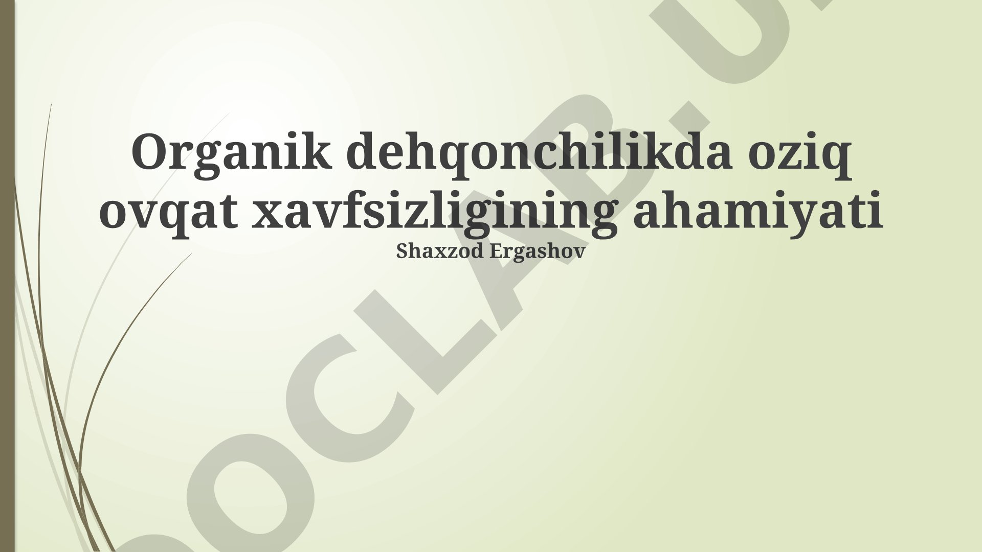 Organik dehqonchilikda oziq ovqat xavfsizligining ahamiyati