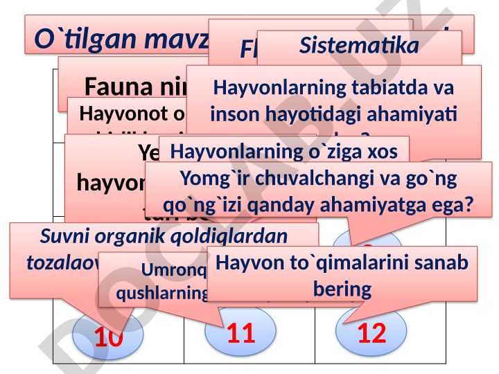 Umurtqasiz hayvonlar va ularning xususiyatlari
