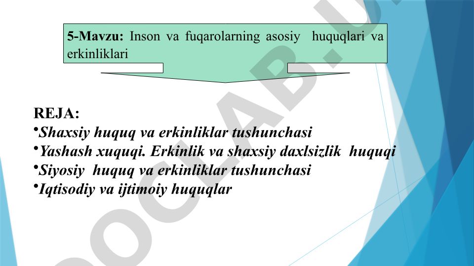Inson va fuqarolarning asosiy huquqlari va erkinliklari