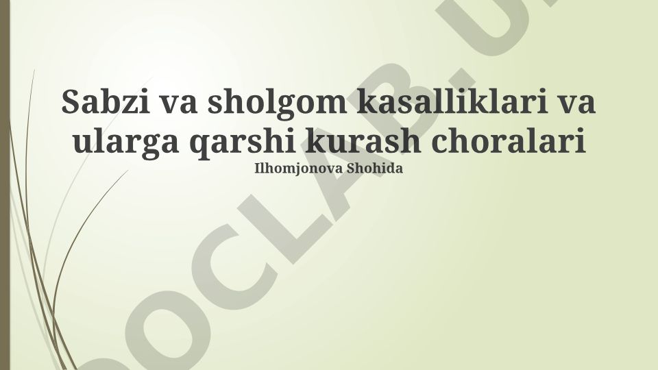 Sabzi va sholgom kasalliklari va ularga qarshi kurash choralari