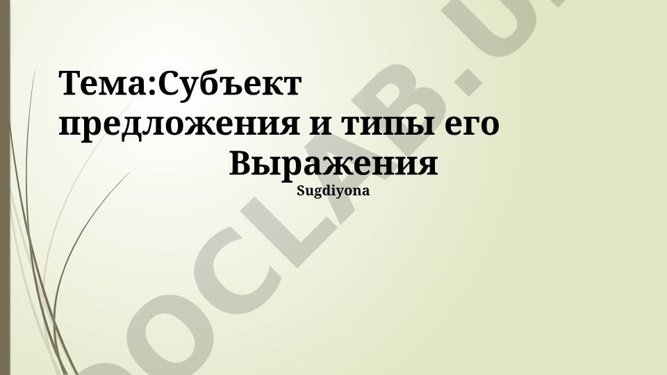 Субъект предложения и типы его Выражения