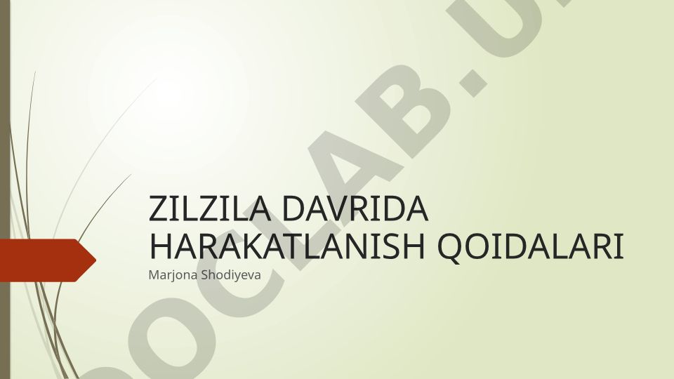 Zilzila davrida harakatlanish qoidalari