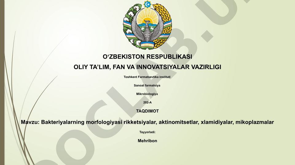 Bakteriyalarning morfologiyasi: rikketsiyalar, aktinomitsetlar, xlamidiyalar, mikoplazmalar