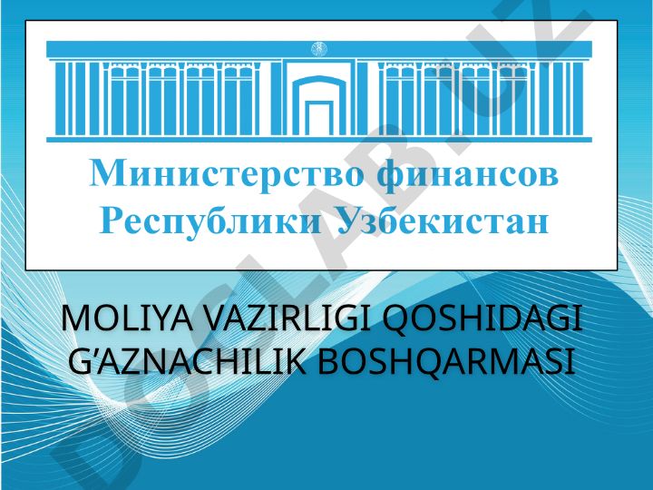 Davlat budjetining g'azna ijrosi tizimini rivojlantirish chora-tadbirlari