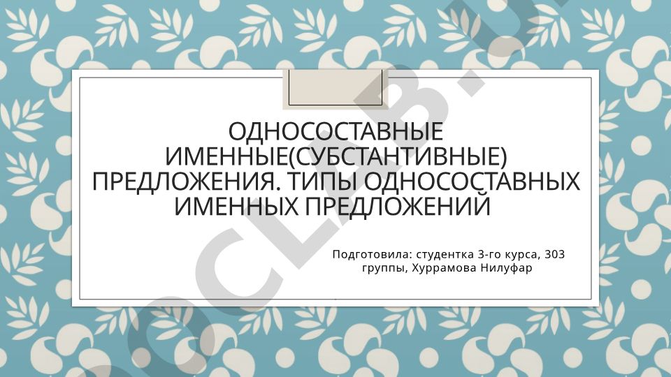 Односоставные именные предложения и их типы