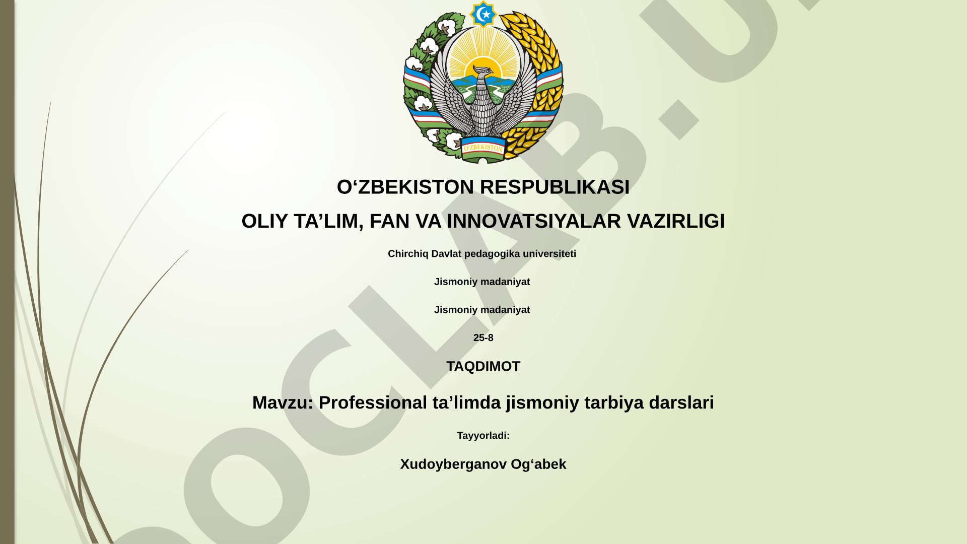 Professional taʼlimda jismoniy tarbiya darslari