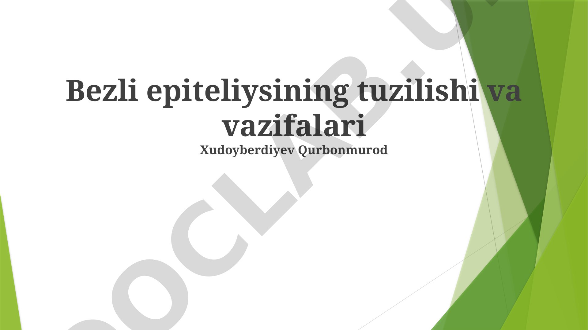 Stratifikatsiyalangan epiteliyning tuzilishi va vazifalari