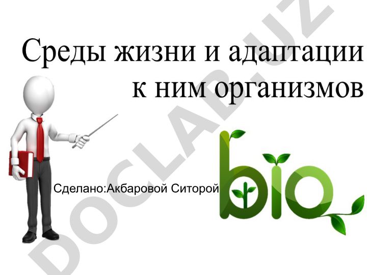 Акбарова Ситора
