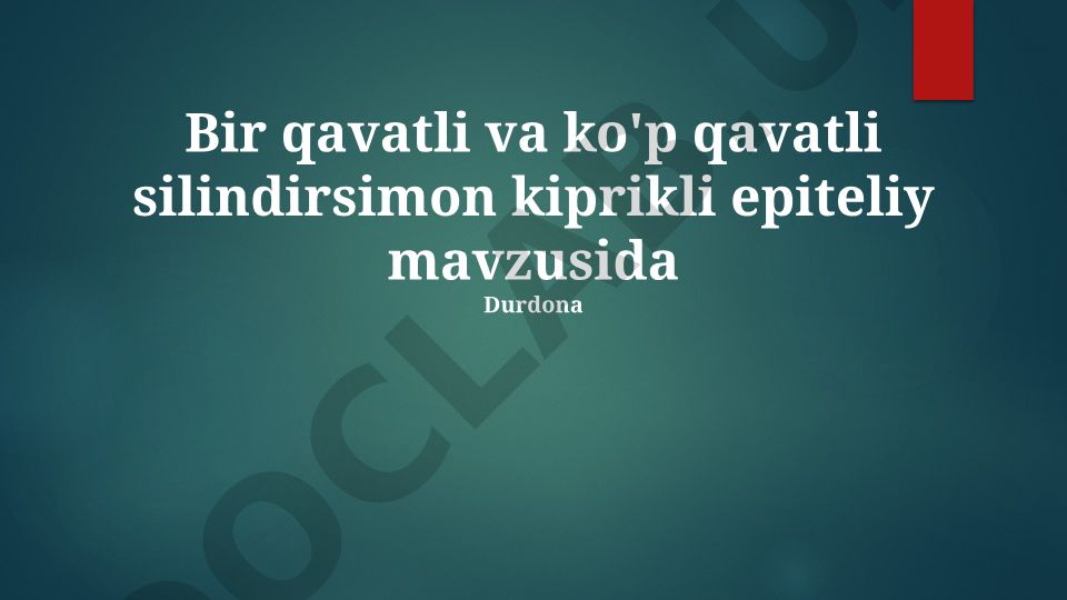 Bir qavatli va ko'p qavatli silindrsimon kirpikli epiteliy