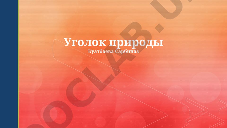 Уголок природы Куатбаева Сарбиназ