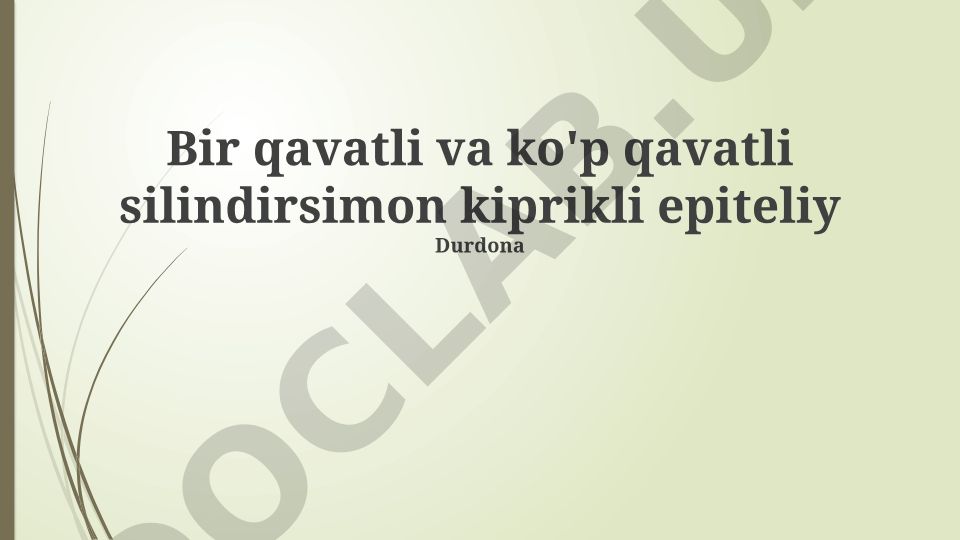 Bir qavatli va ko'p qavatli silindirsimon kiprikli epiteliy